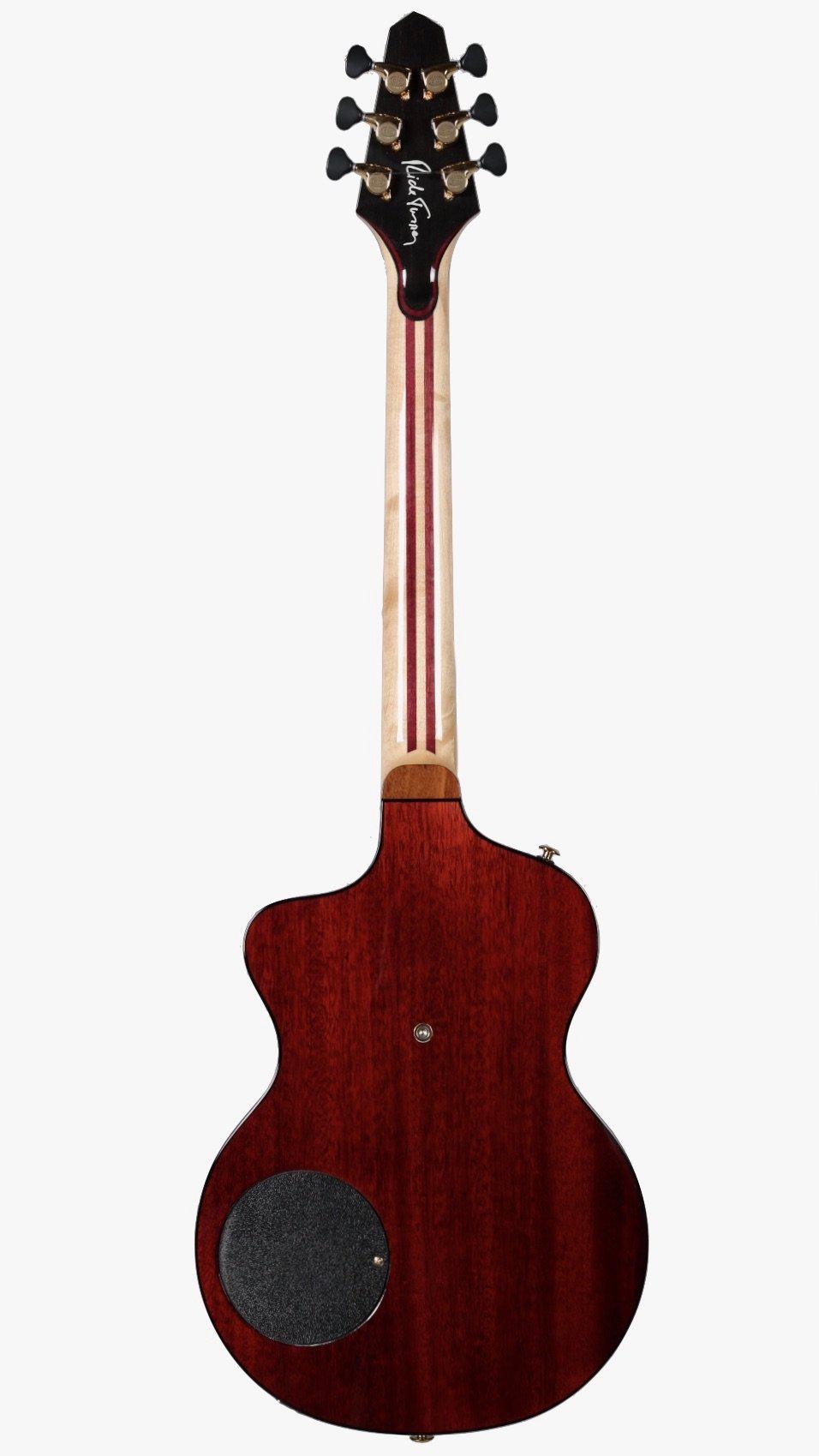 Rick Turner Model 1 Lindsey Buckingham with Piezo Gold Hardware with EVO Frets #5512 - Rick Turner Guitars - Heartbreaker Guitars