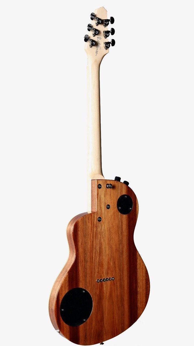 Rick Turner Renaissance California Series #5564 (Individual RS6) from the #8 Set - Rick Turner Guitars - Heartbreaker Guitars