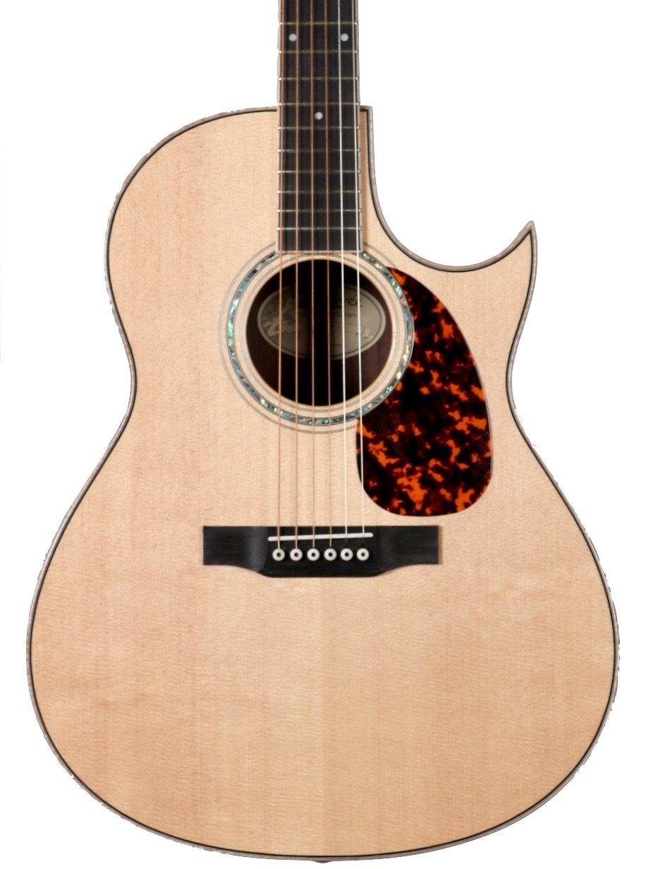 Larrivee C09 Custom Guitar with SL Pickup Installed #133029 - Larrivee Guitars - Heartbreaker Guitars