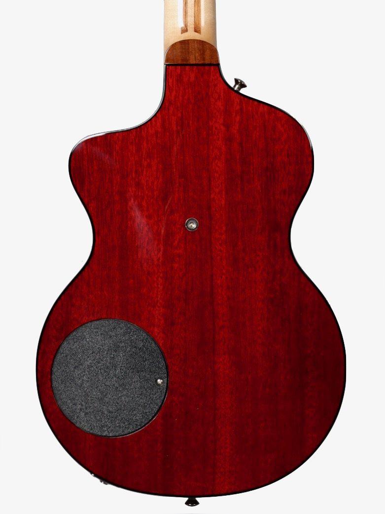 Rick Turner Model 1 Lindsey Buckingham with Piezo and Rope Purfling #5381 - Rick Turner Guitars - Heartbreaker Guitars