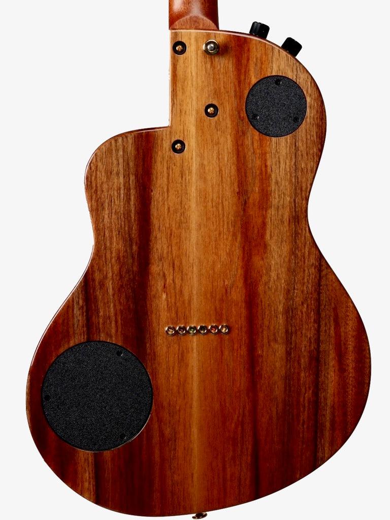 Rick Turner Renaissance RS6 Port Orford Cedar / Black Acacia #5302 - Rick Turner Guitars - Heartbreaker Guitars