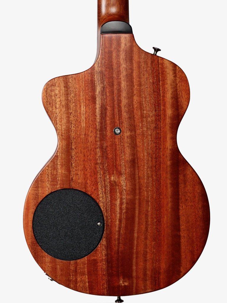 Rick Turner Model 1 Custom Satin Finish #5361 - Rick Turner Guitars - Heartbreaker Guitars