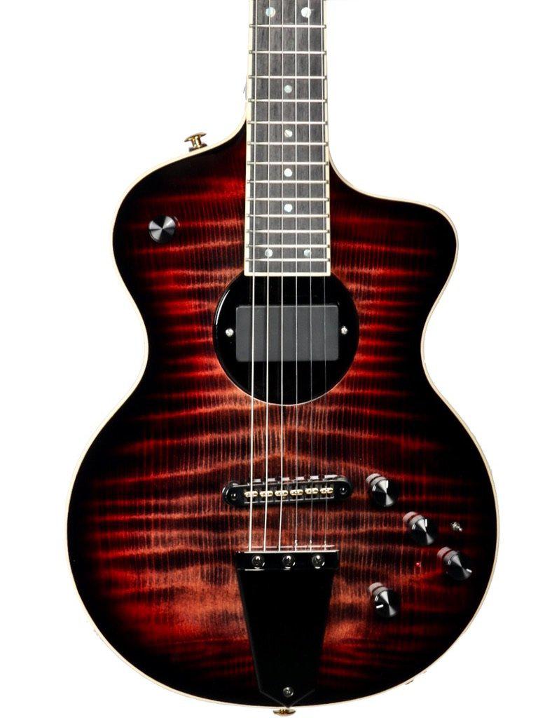 Rick Turner California Series Model 1 and Renaissance RS6 #9 of 10 - Rick Turner Guitars - Heartbreaker Guitars