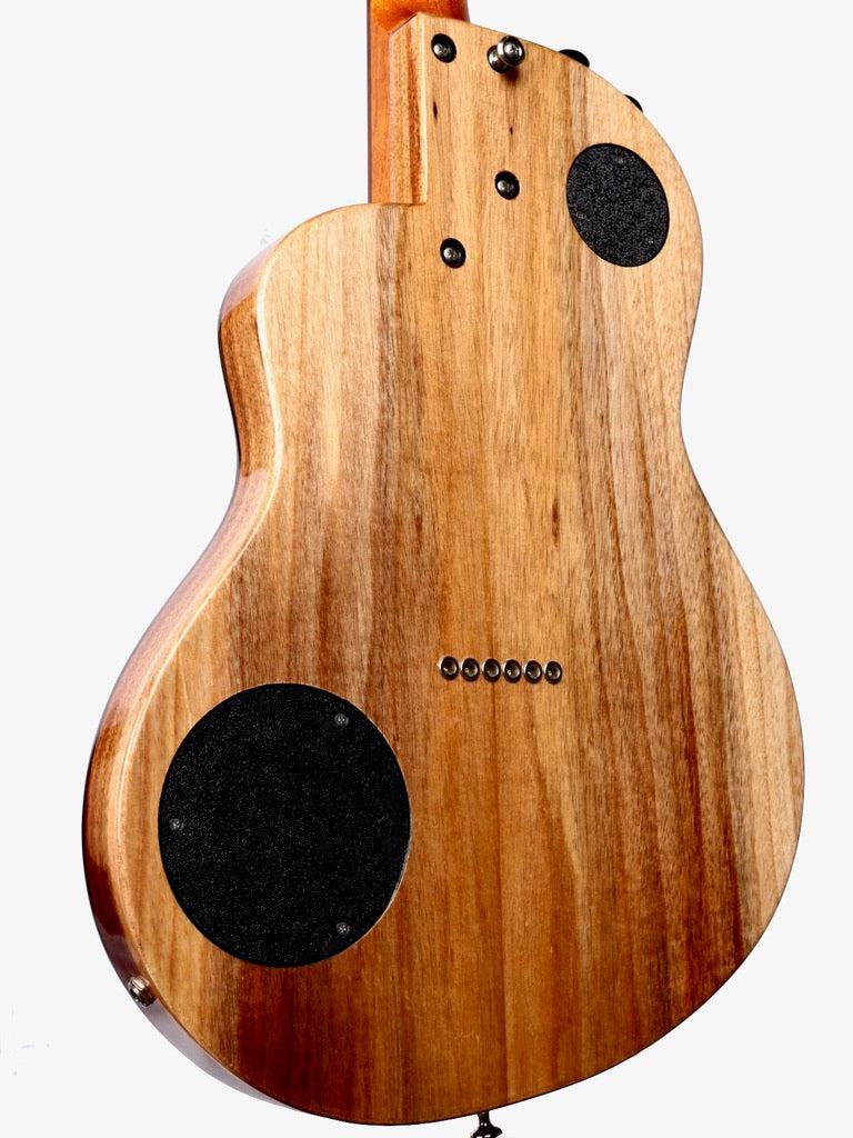 Rick Turner Renaissance RS6 Sinker Cedar / Walnut #5071 - Rick Turner Guitars - Heartbreaker Guitars