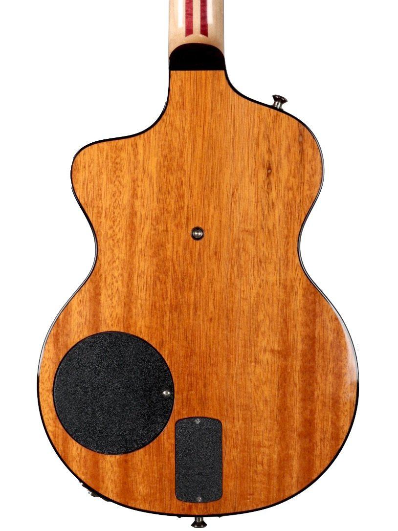 Rick Turner 40th Anniversary Lindsey Buckingham - Rick Turner Guitars - Heartbreaker Guitars