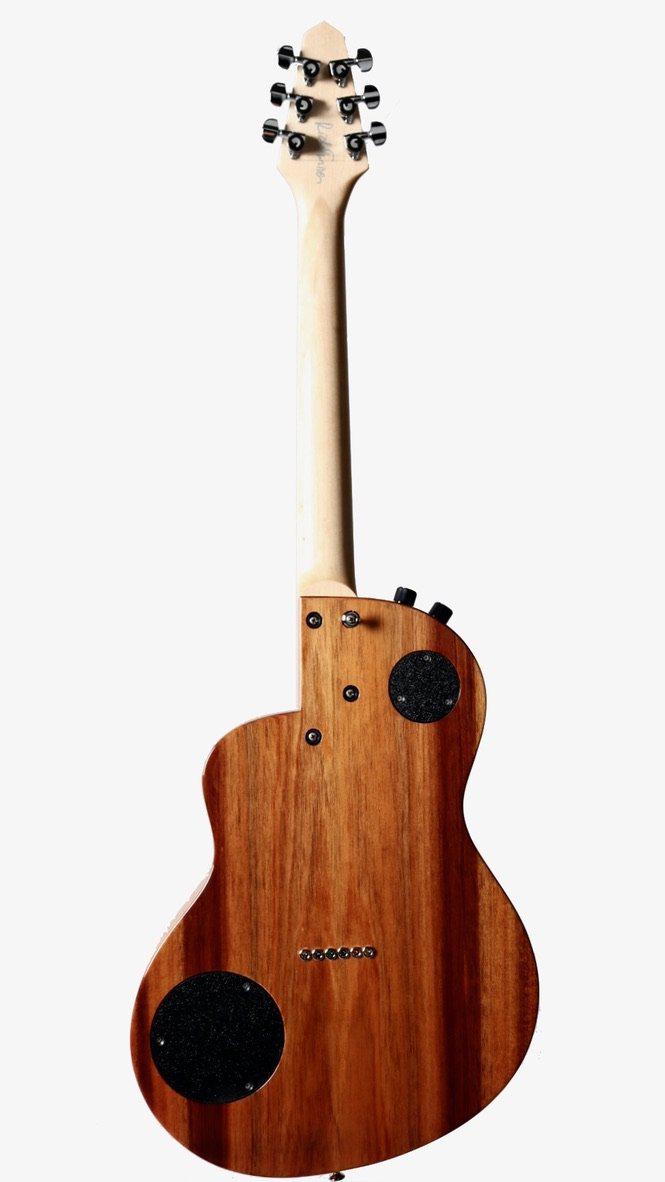 Rick Turner Renaissance California Series #5564 (Individual RS6) from the #8 Set - Rick Turner Guitars - Heartbreaker Guitars