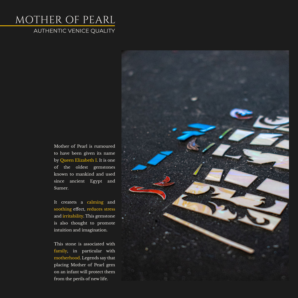 Paoletti Marco Polo 2024 Il Milione Special Edition #4 - Paoletti - Heartbreaker Guitars