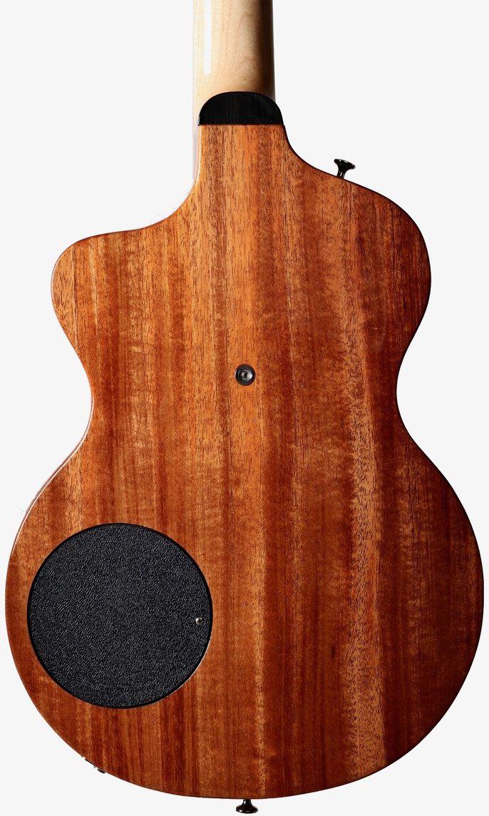 Rick Turner Model 1 California Series #5554 (Individual Model 1) from the #8 Set - Rick Turner Guitars - Heartbreaker Guitars