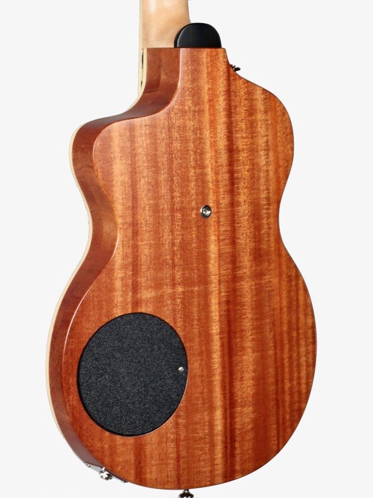 Rick Turner California Series Model 1 and Renaissance RS6 (Satin Finish) #10 of 10 - Rick Turner Guitars - Heartbreaker Guitars