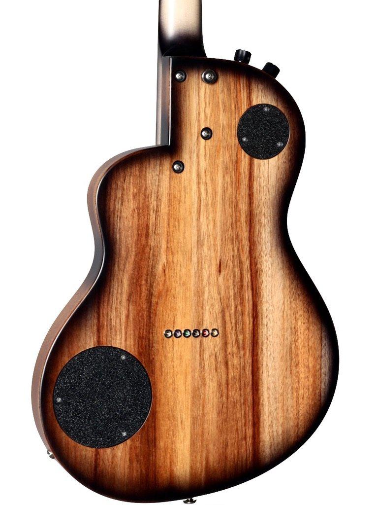 Rick Turner California Series Model 1 and Renaissance RS6 (Satin Finish) #6 of 10 - Rick Turner Guitars - Heartbreaker Guitars