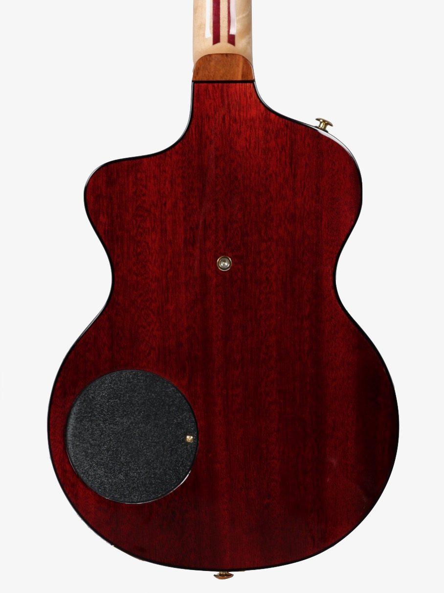 Rick Turner Model 1 Lindsey Buckingham with Piezo Gold Hardware with EVO Frets #5512 - Rick Turner Guitars - Heartbreaker Guitars