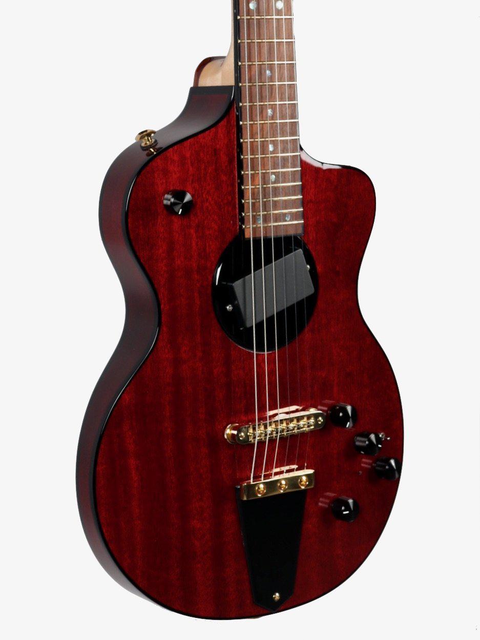 Rick Turner Model 1 Lindsey Buckingham with Piezo Gold Hardware with EVO Frets #5512 - Rick Turner Guitars - Heartbreaker Guitars