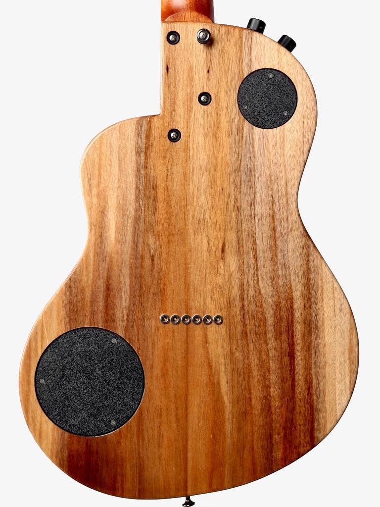 Rick Turner Renaissance RS6 Sinker Cedar / Walnut #5071 - Rick Turner Guitars - Heartbreaker Guitars