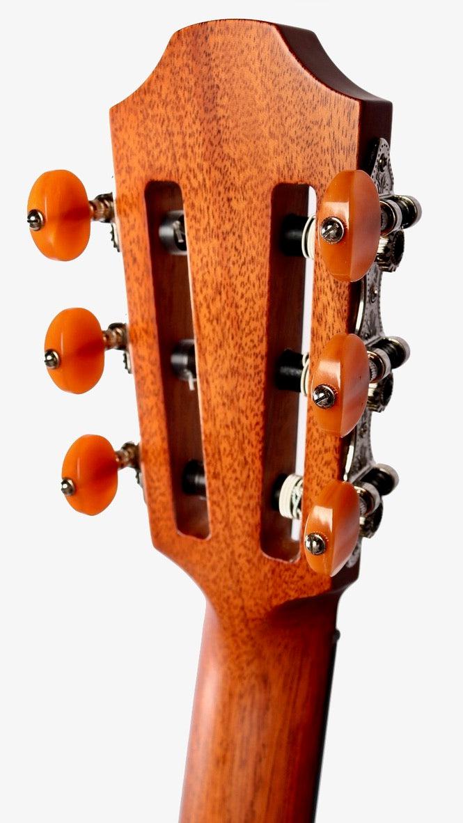 Furch GNc 4-CR Nylon Cedar / Indian Rosewood with LR Baggs EAS #105442 - Furch Guitars - Heartbreaker Guitars