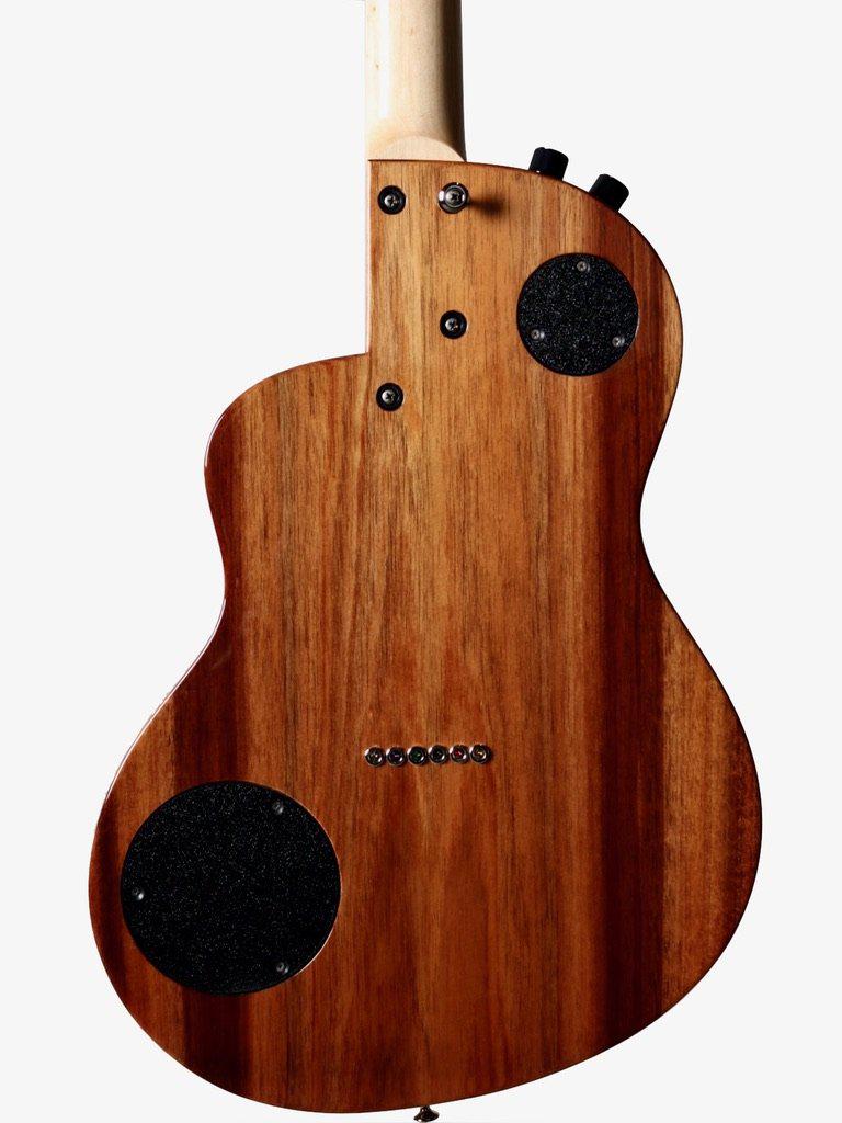 Rick Turner Renaissance California Series #5564 (Individual RS6) from the #8 Set - Rick Turner Guitars - Heartbreaker Guitars