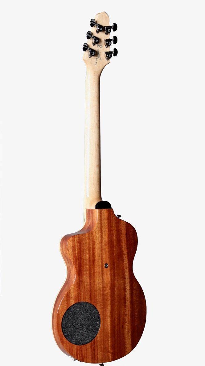 Rick Turner Model 1 California Series #5554 (Individual Model 1) from the #8 Set - Rick Turner Guitars - Heartbreaker Guitars