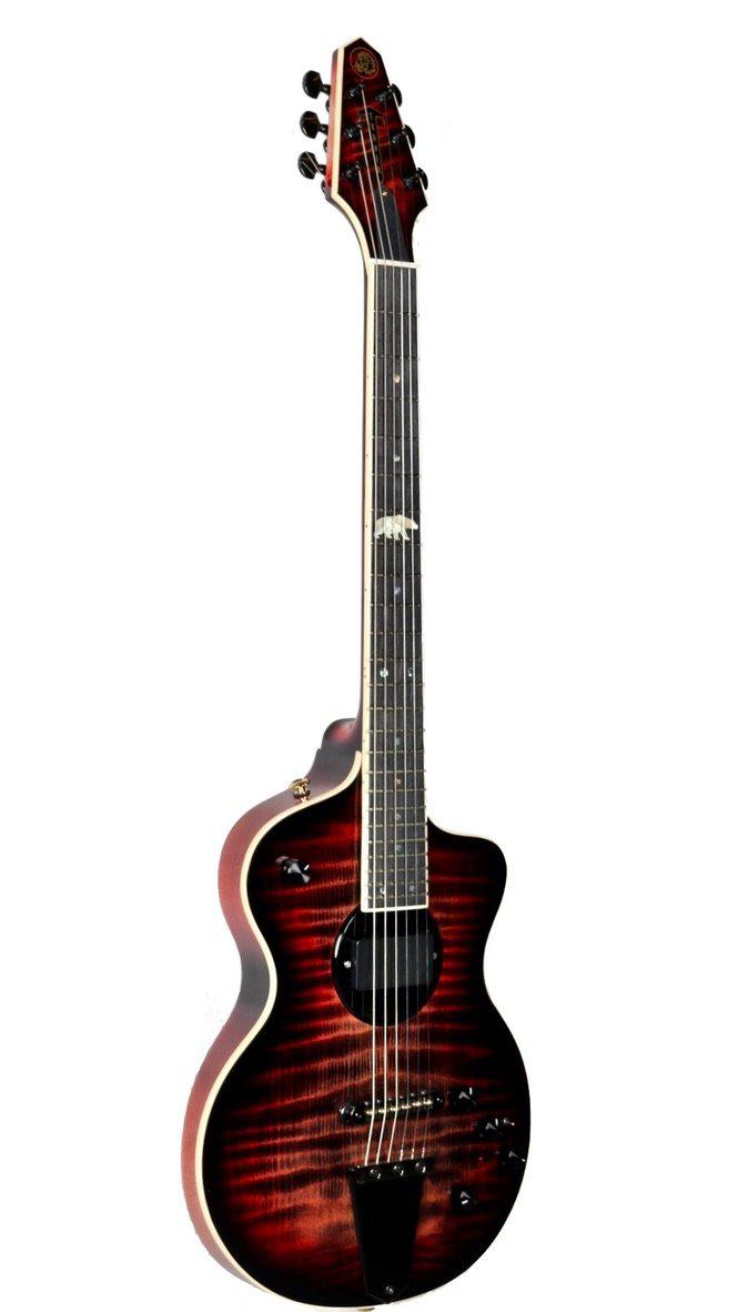 Rick Turner California Series Model 1 and Renaissance RS6 #9 of 10 - Rick Turner Guitars - Heartbreaker Guitars