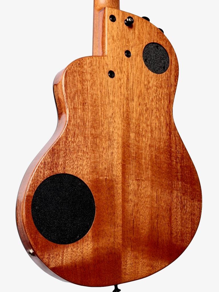 Rick Turner Renaissance RN6 Nylon String Cedar / Mahogany Hybrid #5702 - Rick Turner Guitars - Heartbreaker Guitars