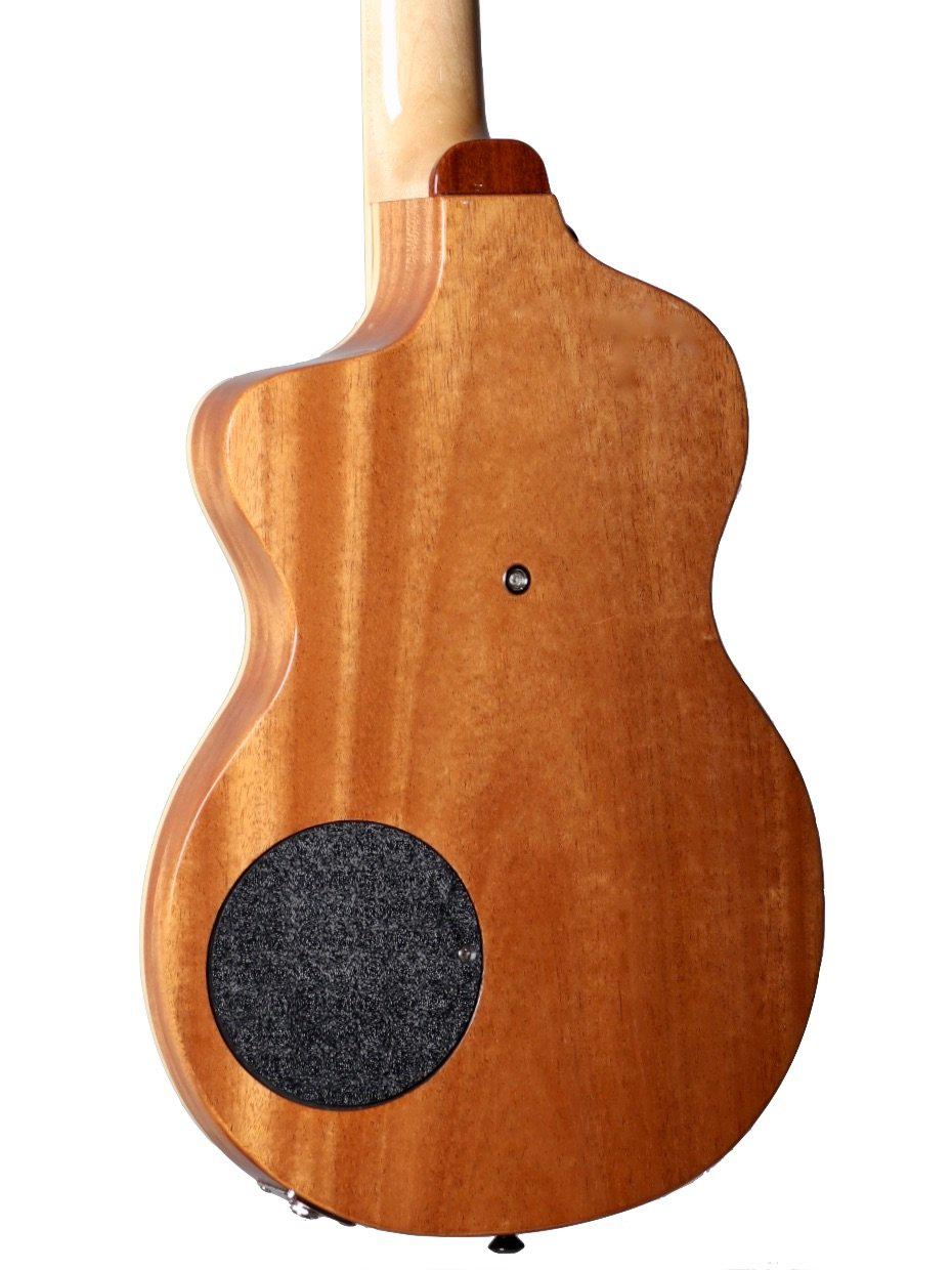 Rick Turner Model 1 California Series #5545 (from the #2 Set) - Rick Turner Guitars - Heartbreaker Guitars