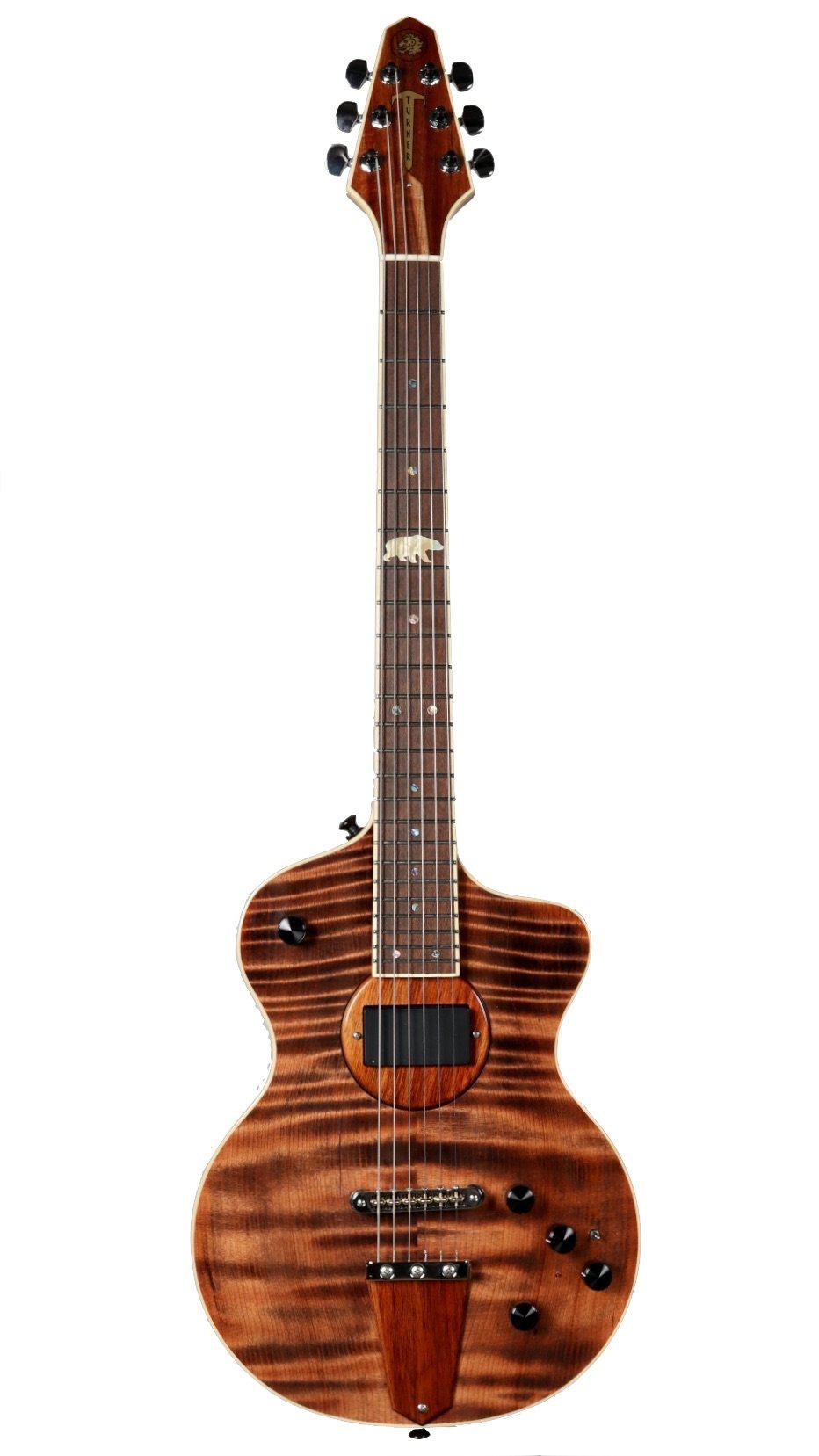 Rick Turner Model 1 California Series #5545 (from the #2 Set) - Rick Turner Guitars - Heartbreaker Guitars