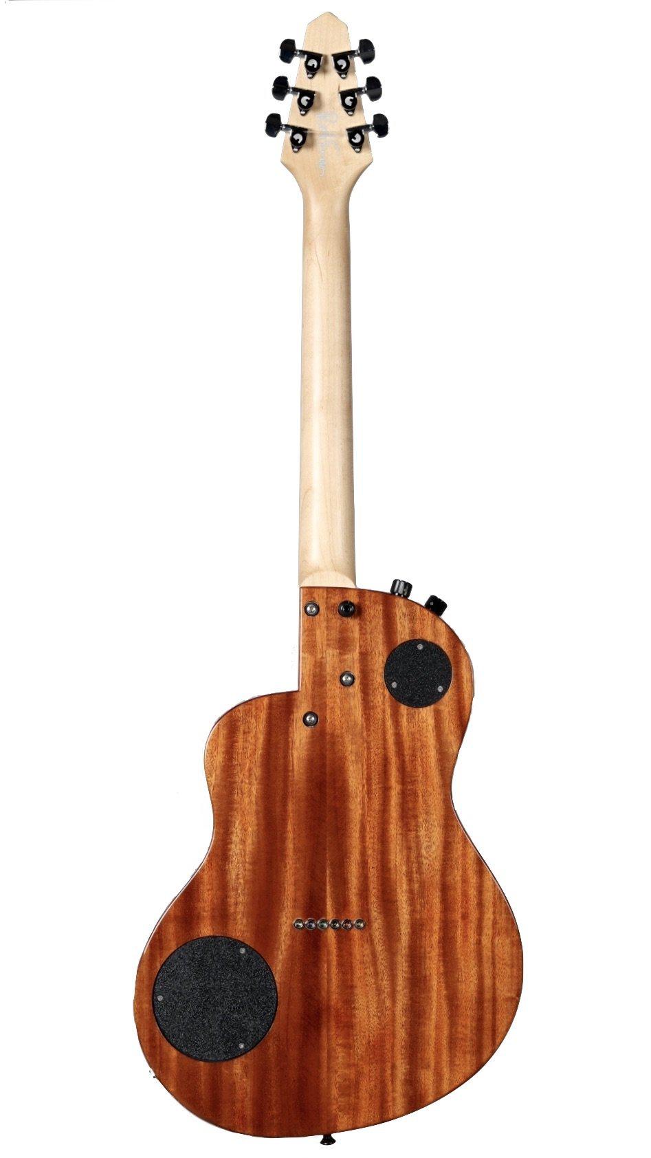 Rick Turner Renaissance California Series #5555 (from the #2 Set) - Rick Turner Guitars - Heartbreaker Guitars