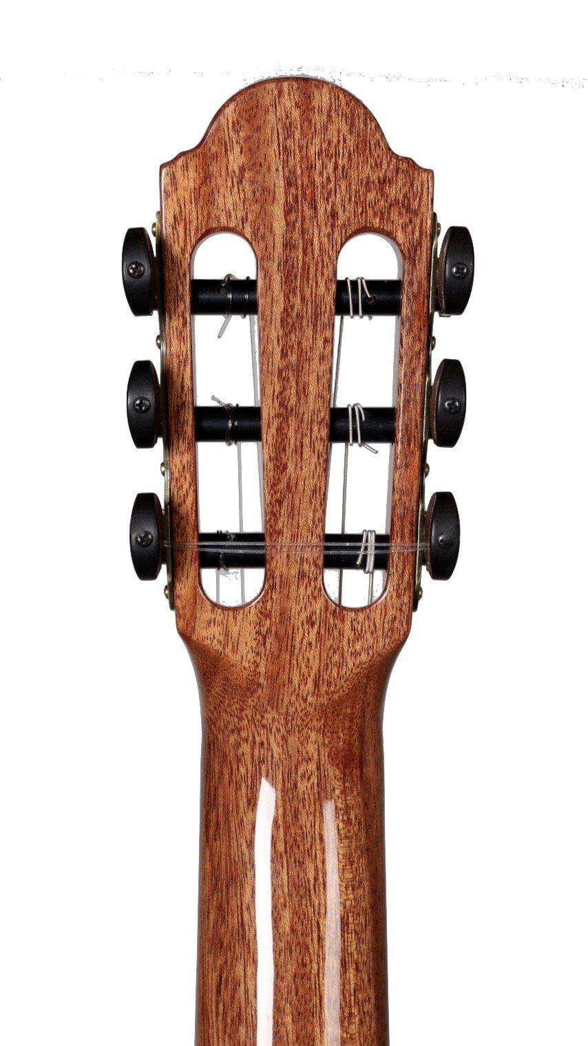 Lyon & Healy "Val di Fiemme"  Spruce / Pau Ferro #190847 - lyon and Healy - Heartbreaker Guitars
