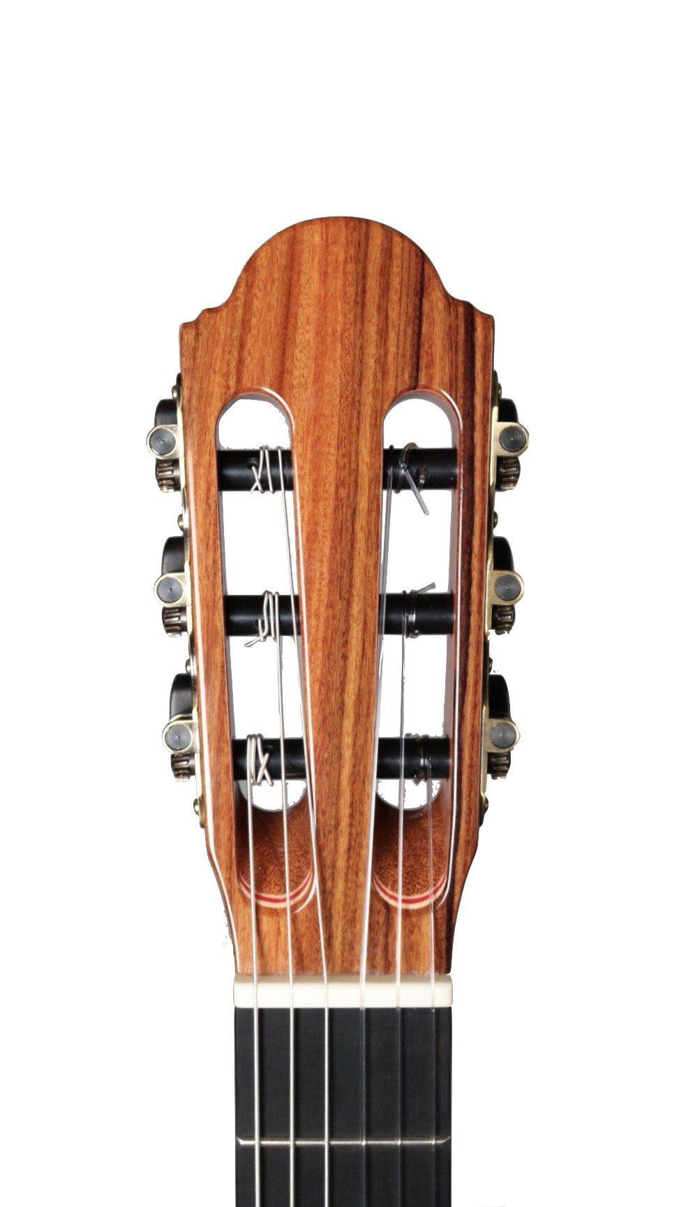 Lyon & Healy "Val di Fiemme"  Spruce / Pau Ferro #190847 - lyon and Healy - Heartbreaker Guitars