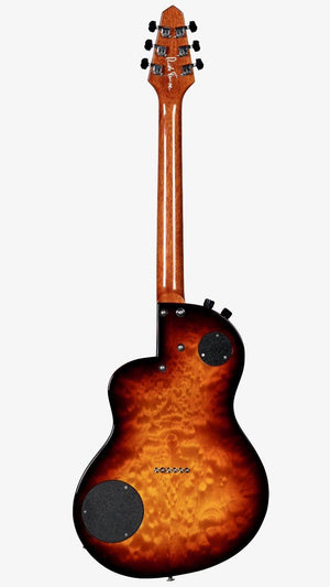 Renaissance RS6 Custom Flamed Maple Burst Serial #5406 - Rick Turner Guitars - Heartbreaker Guitars