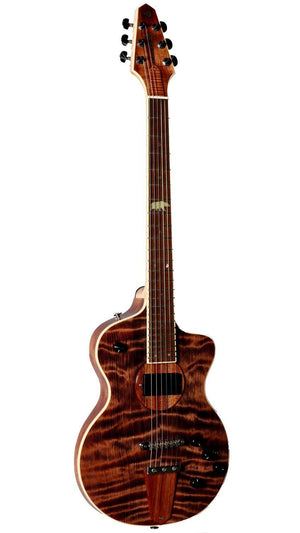 Rick Turner California Series Model 1 and Renaissance RS6 #5 of 10 - Rick Turner Guitars - Heartbreaker Guitars