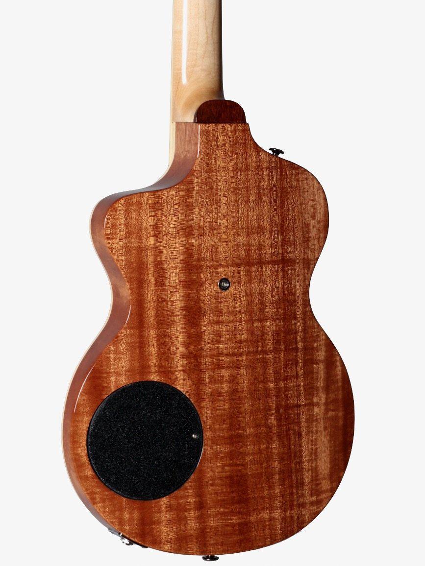 Rick Turner California Series Model 1 and Renaissance RS6 #5 of 10 - Rick Turner Guitars - Heartbreaker Guitars