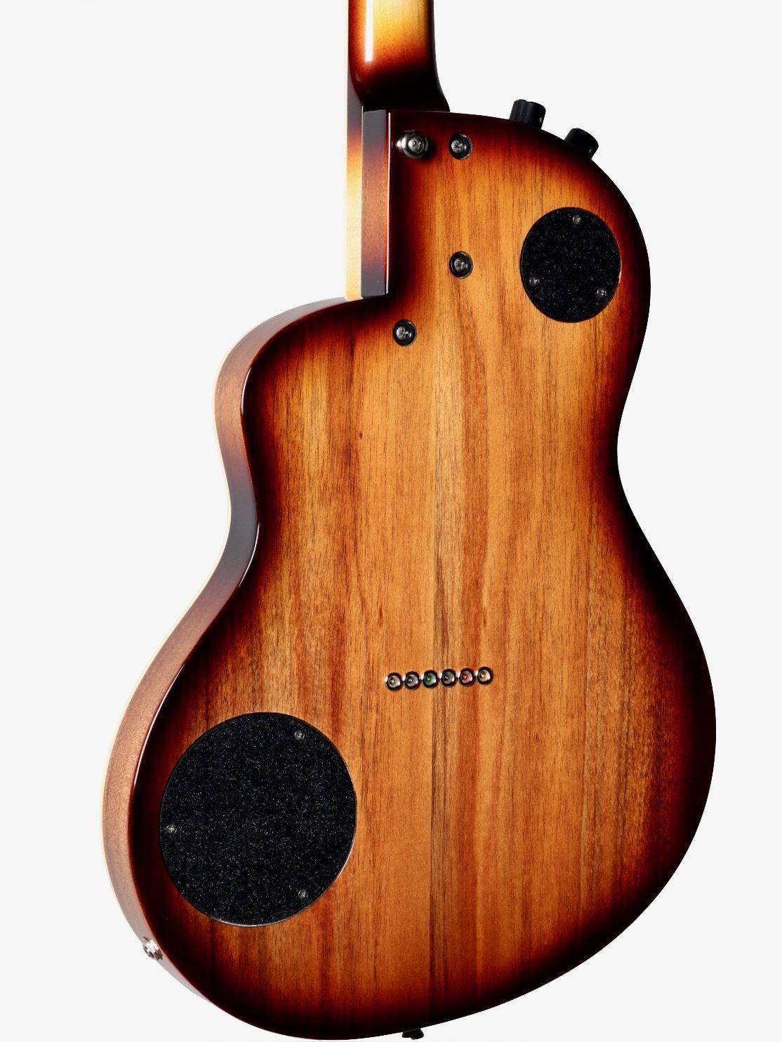 Rick Turner Renaissance California Series #5560 (Individual RS6) from the #7 Set - Rick Turner Guitars - Heartbreaker Guitars