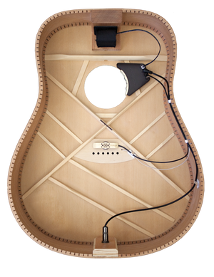 LR Baggs Anthem Acoustic Pick Up with Install - Heartbreaker Guitars