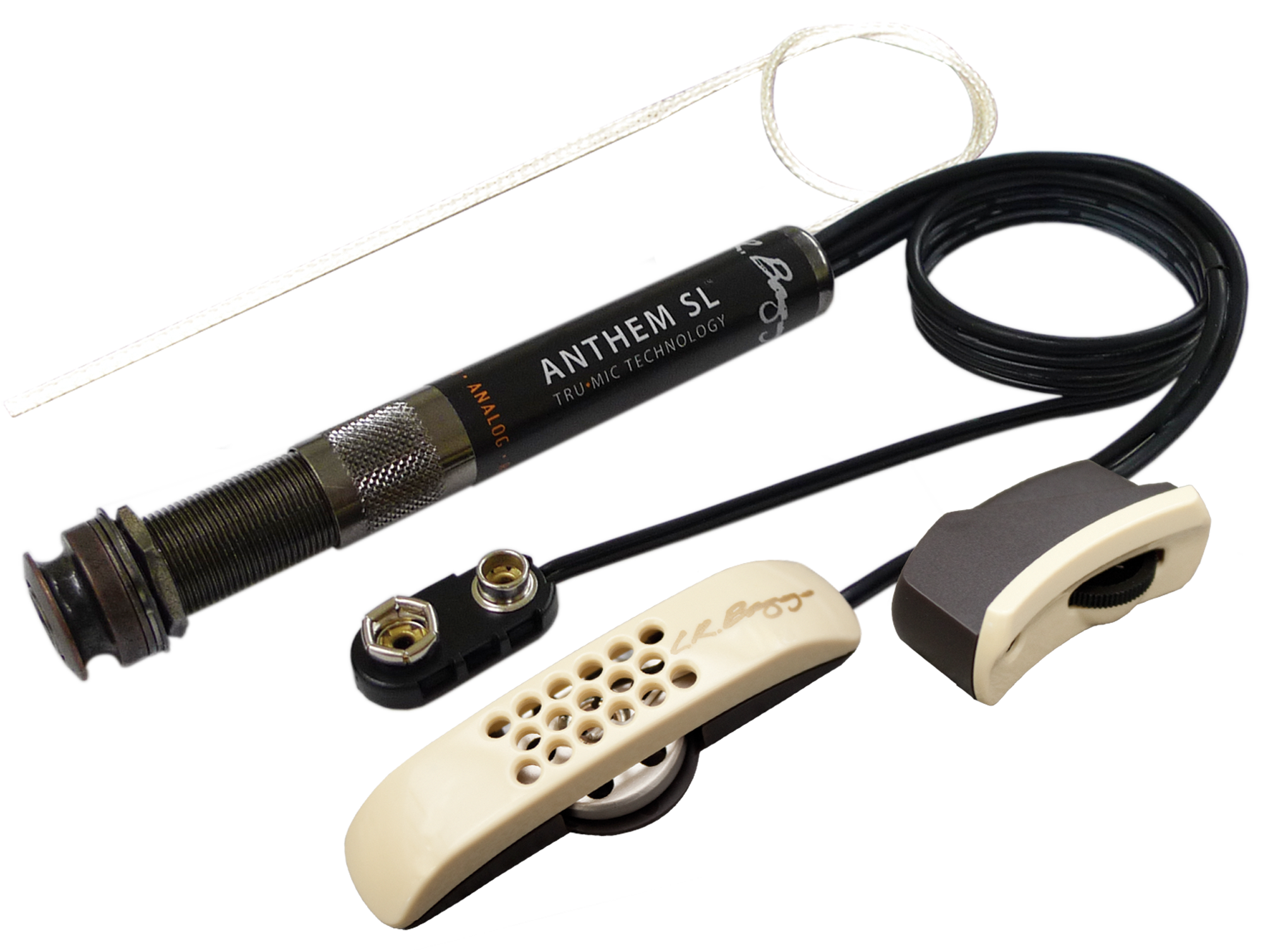 L.R Baggs Anthem SL搭載! Morris W-28 L.R Baggs Anthem SL搭載! Morris W-28 Morris W-28 With L.R