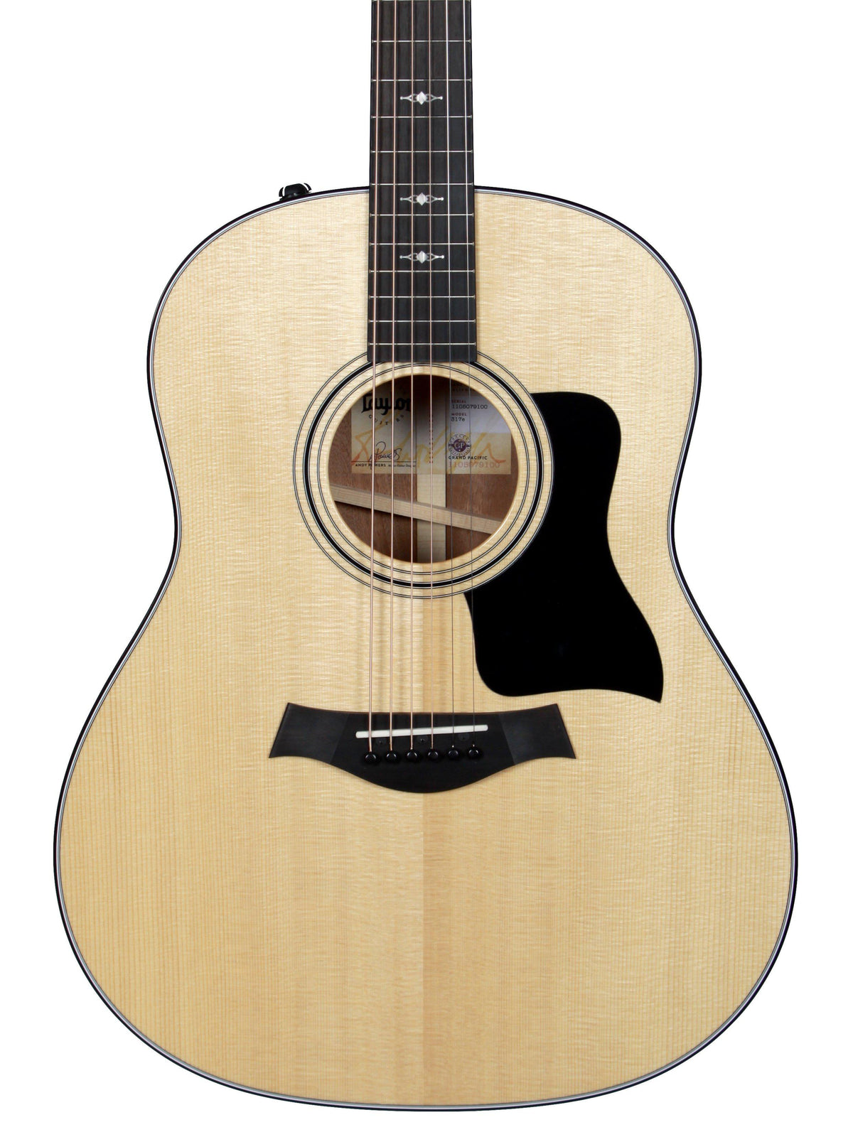Taylor 317e - Taylor Guitars - Heartbreaker Guitars