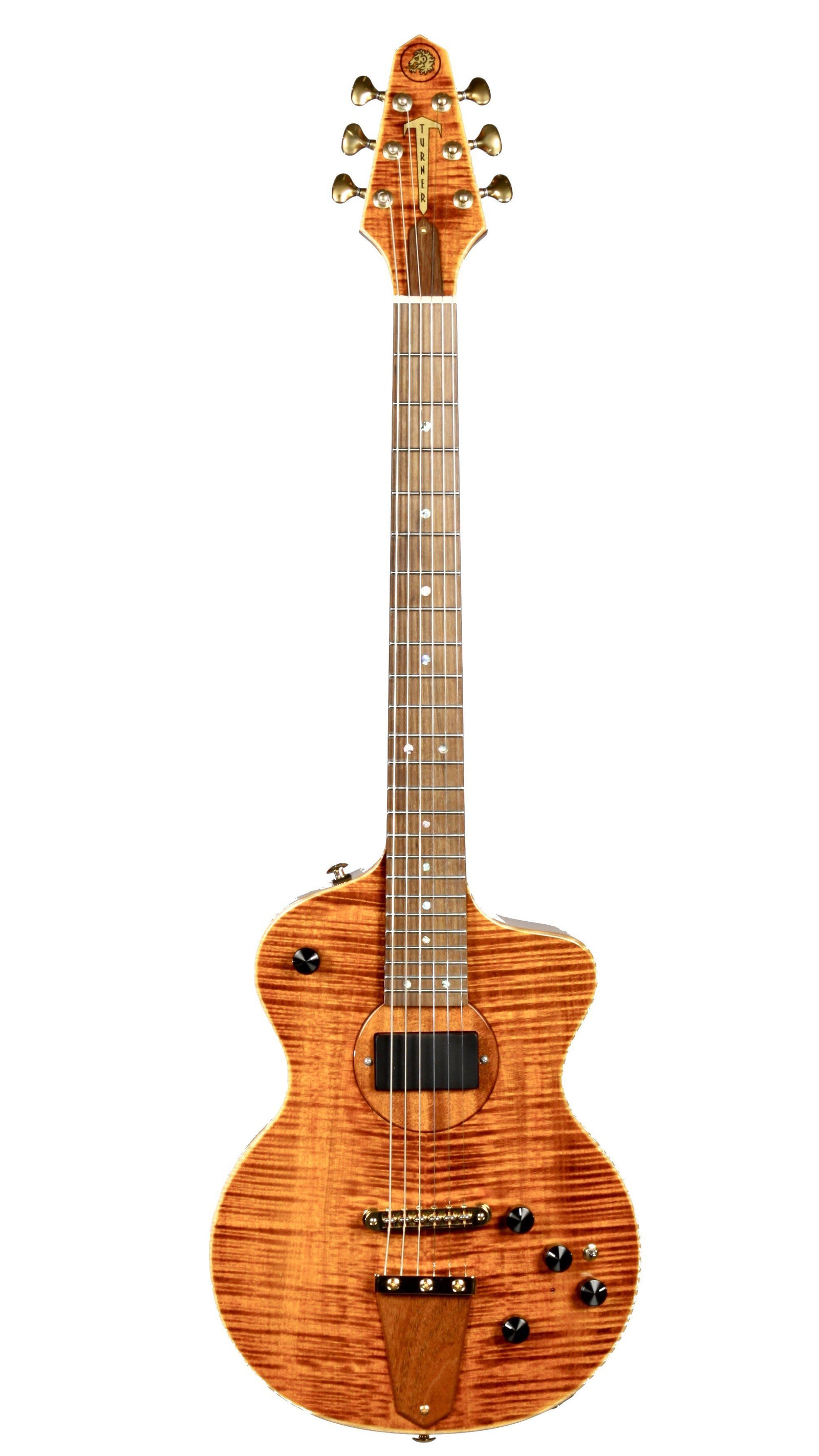 Rick Turner Model 1 Featherweight Custom - Rick Turner Guitars - Heartbreaker Guitars