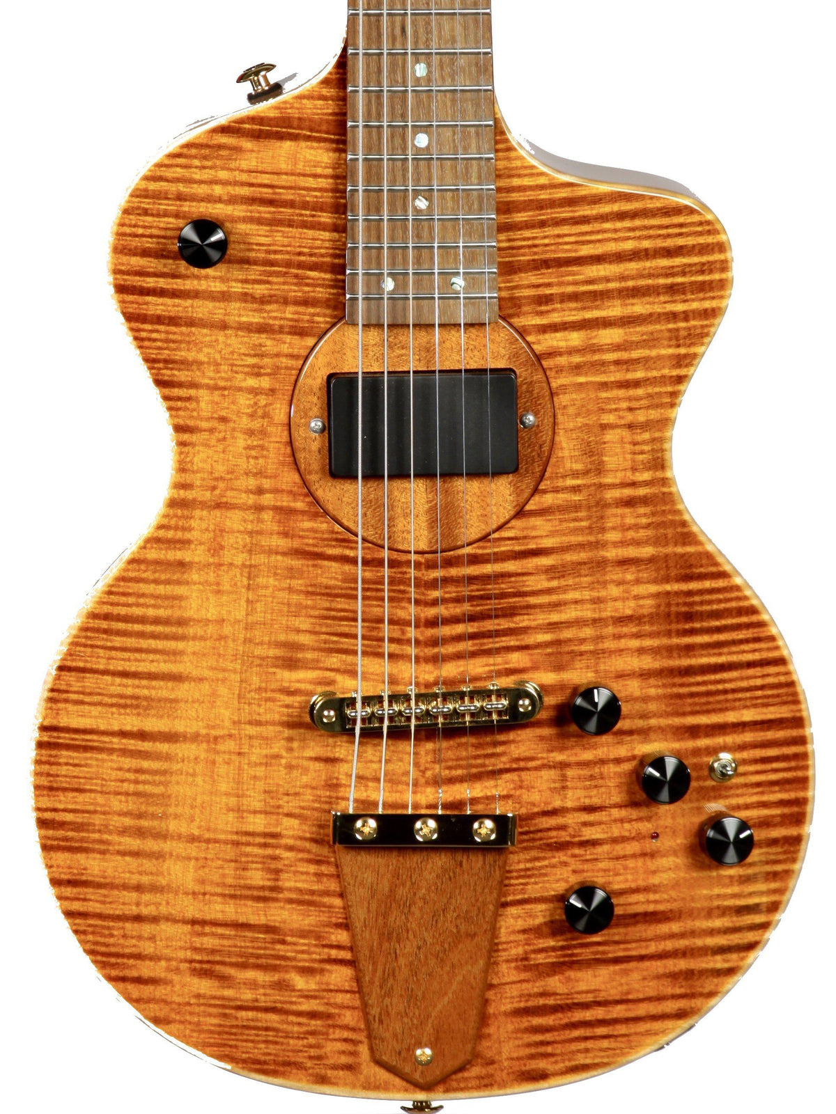 Rick Turner Model 1 Featherweight Custom - Rick Turner Guitars - Heartbreaker Guitars