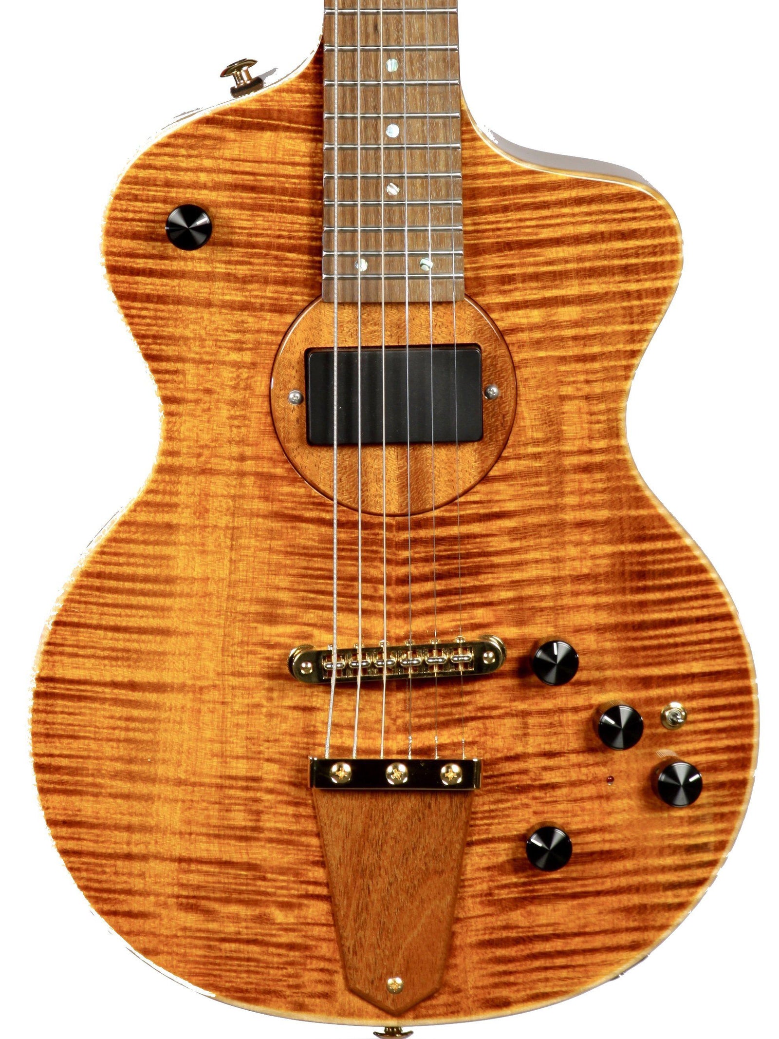 Rick Turner Model 1 Featherweight Custom - Rick Turner Guitars - Heartbreaker Guitars