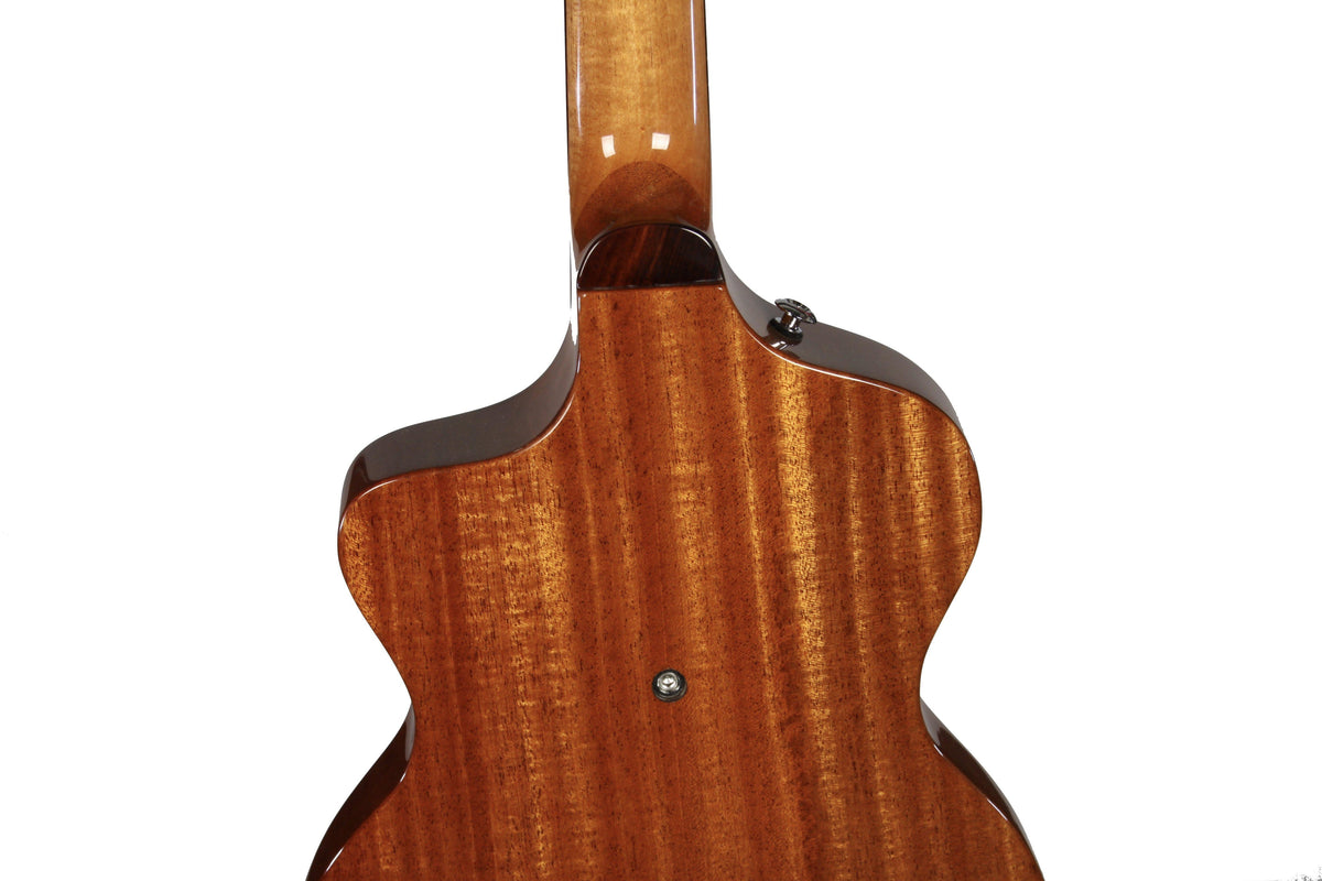 Rick Turner Model 1 Custom Amazon Rosewood - Rick Turner Guitars - Heartbreaker Guitars