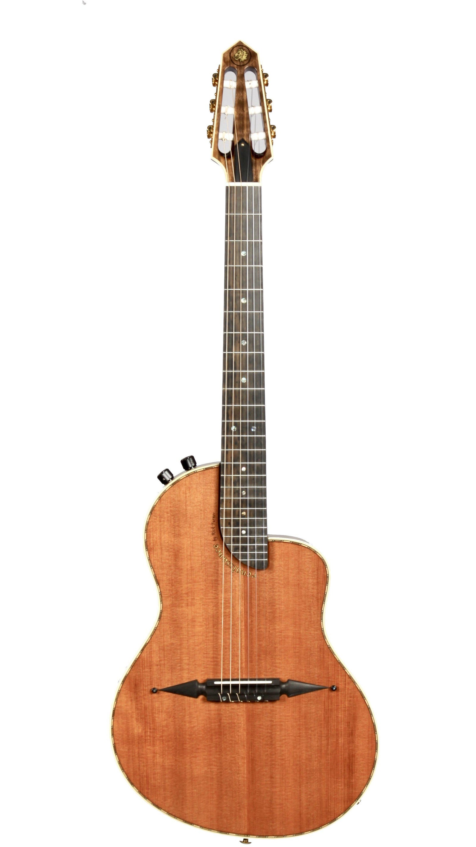 Renaissance RN6-Hybrid Deluxe - Rick Turner Guitars - Heartbreaker Guitars