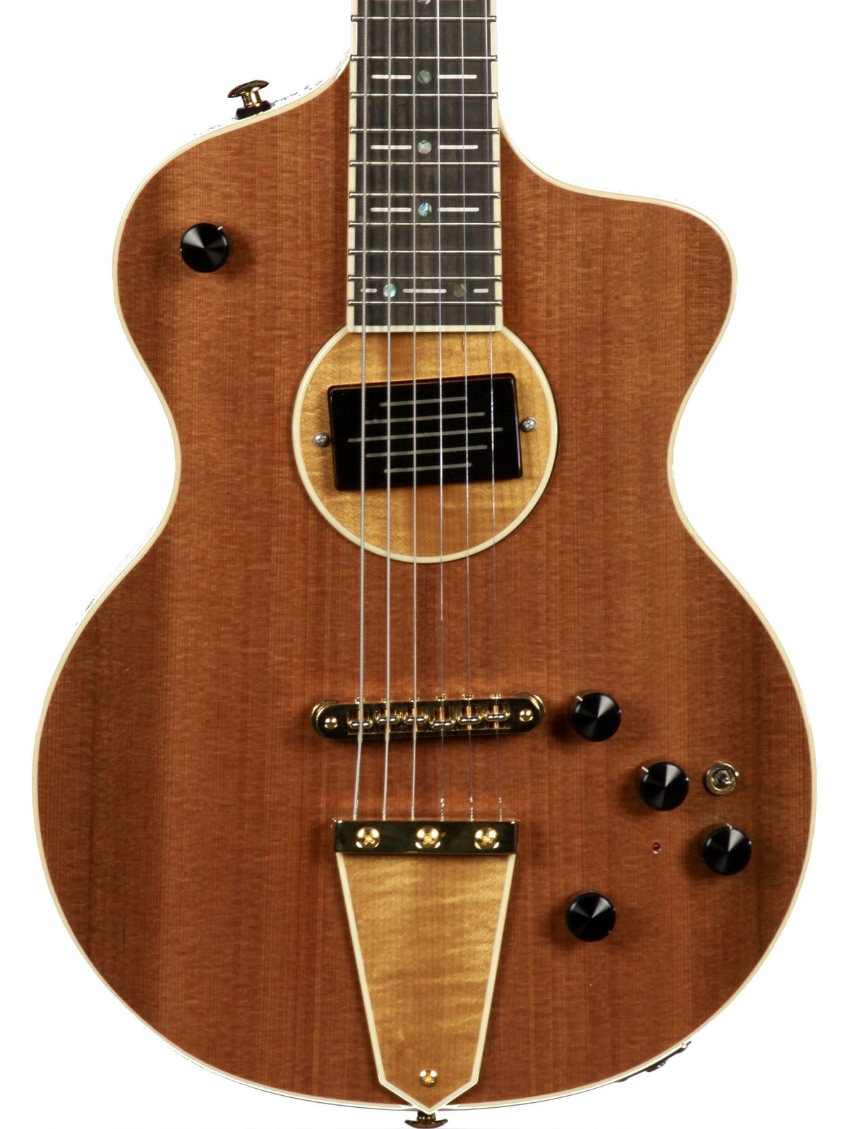 Rick Turner Model 1 Sinker Series Limited Edition #4 of 5 - Rick Turner Guitars - Heartbreaker Guitars