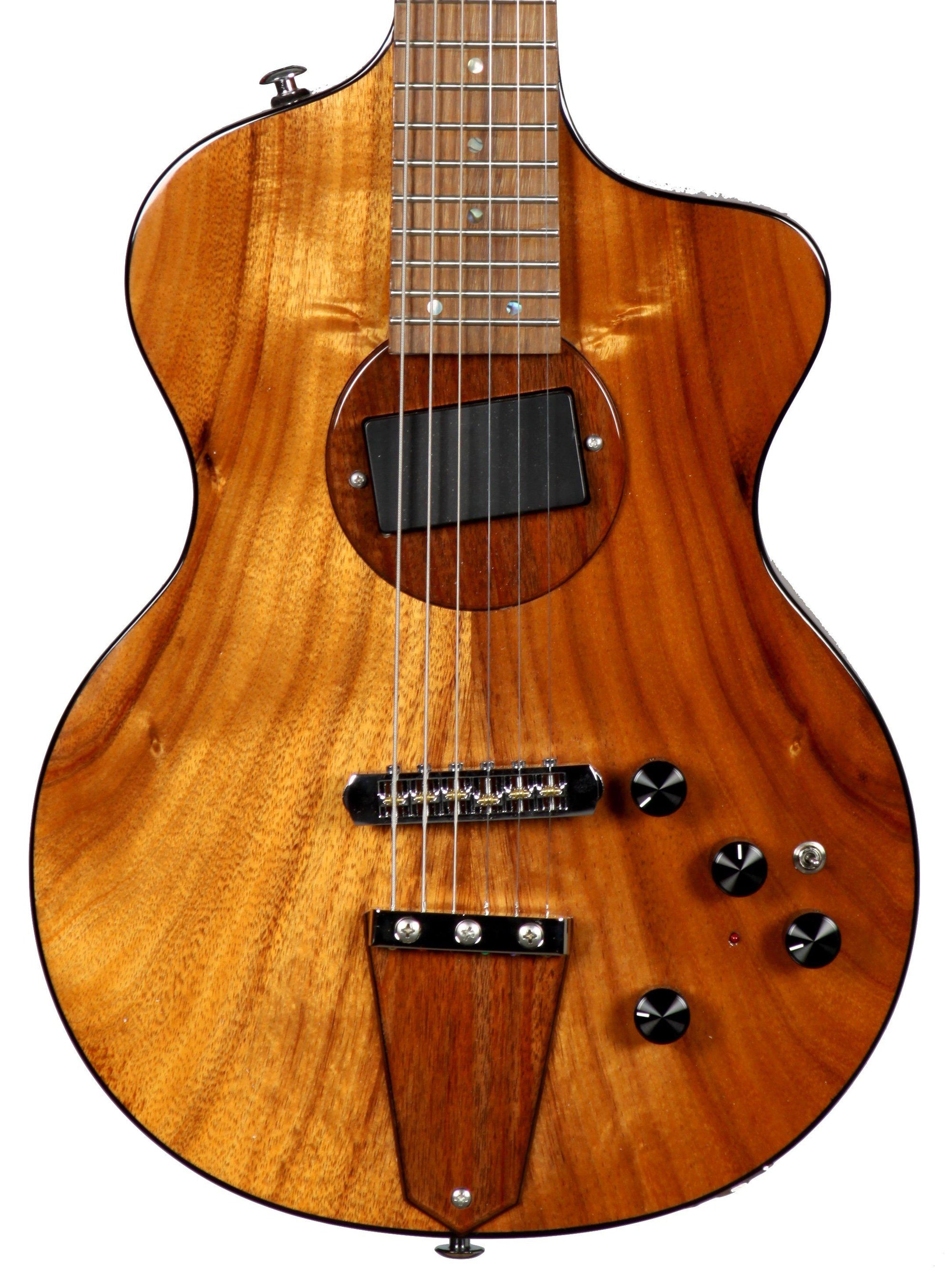 Rick Turner Model 1C Custom Acacia - Rick Turner Guitars - Heartbreaker Guitars