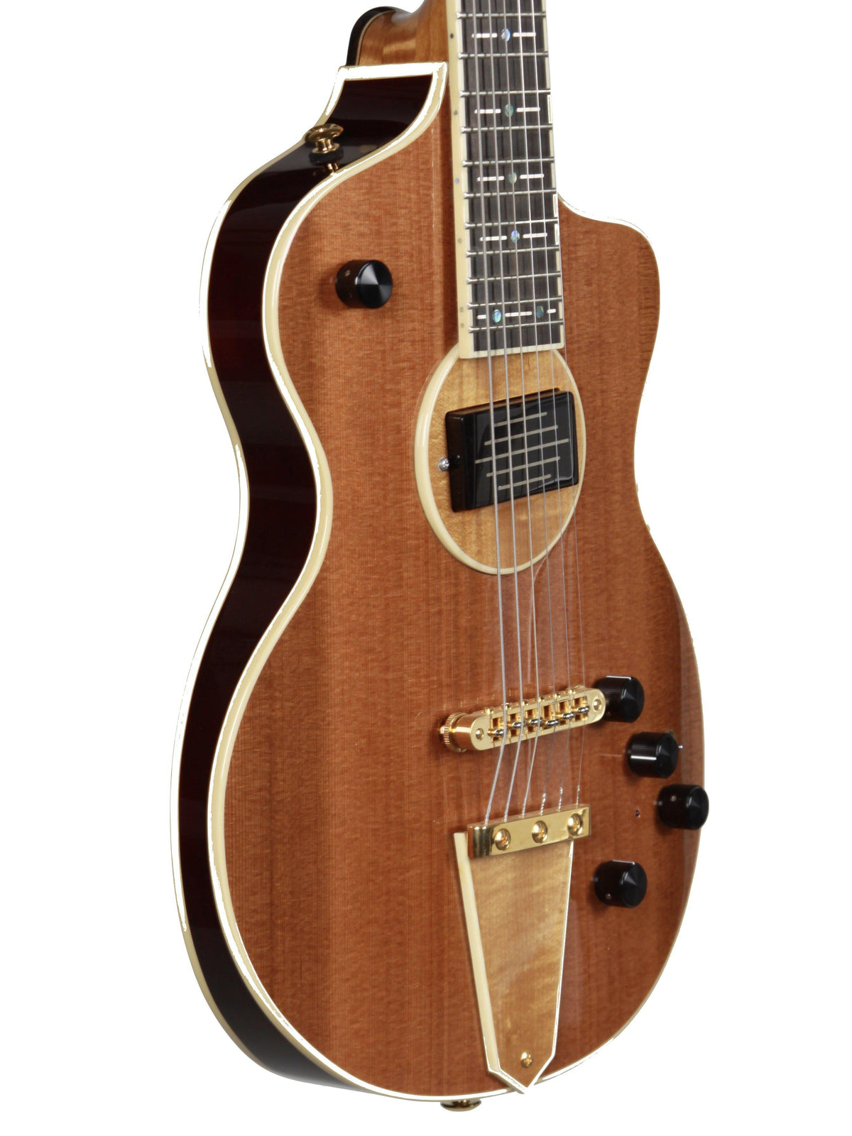 Rick Turner Model 1 Sinker Series Limited Edition #4 of 5 - Rick Turner Guitars - Heartbreaker Guitars