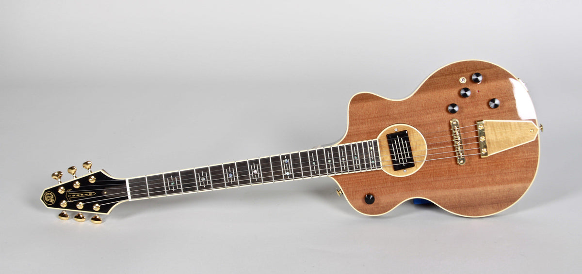 Rick Turner Model 1 Sinker Series Limited Edition #4 of 5 - Rick Turner Guitars - Heartbreaker Guitars