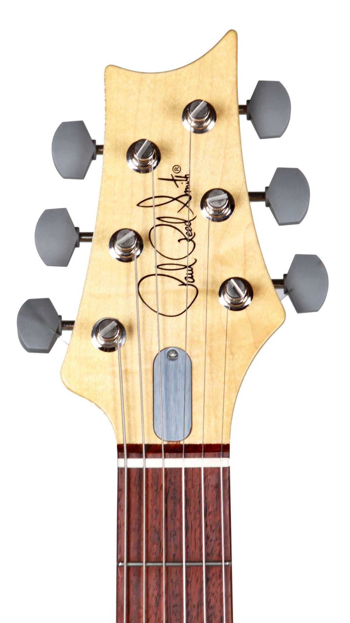 Paul Reed Smith Silver Sky Onyx - Paul Reed Smith Guitars - Heartbreaker Guitars