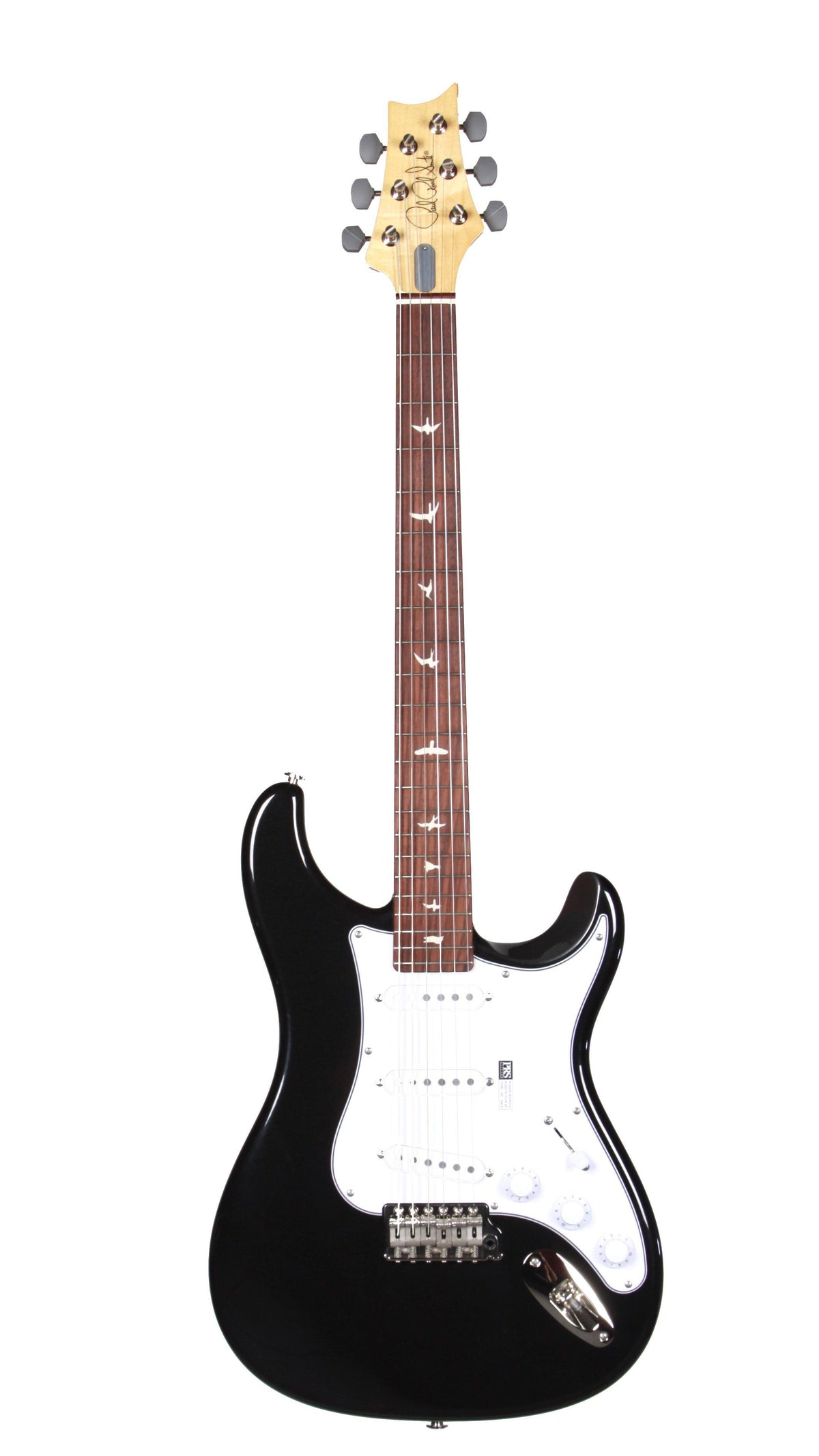 Paul Reed Smith Silver Sky Onyx - Paul Reed Smith Guitars - Heartbreaker Guitars