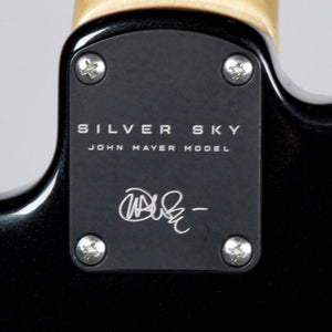 Paul Reed Smith Silver Sky Onyx - Paul Reed Smith Guitars - Heartbreaker Guitars