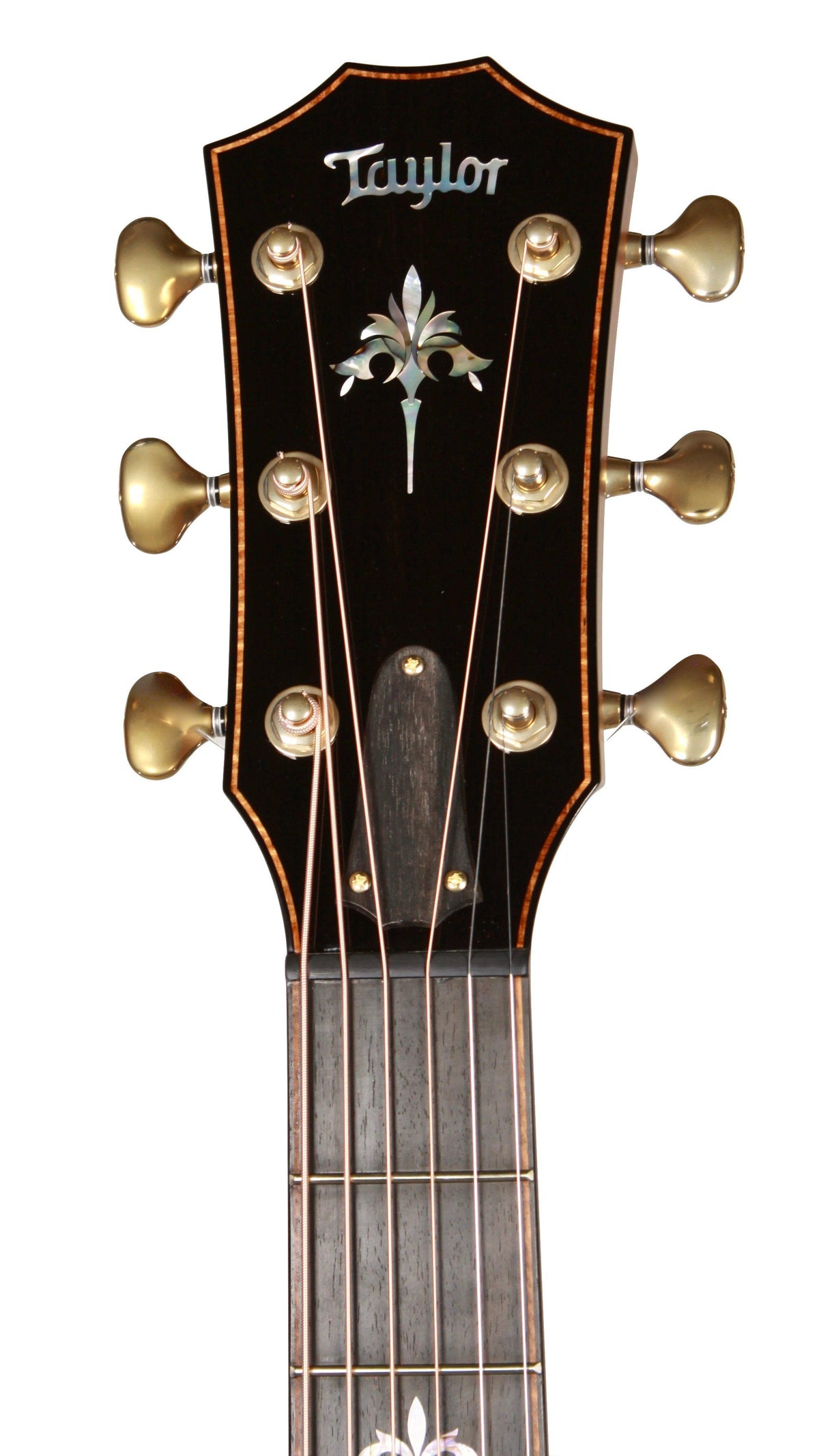 Taylor 914ce V-Class - Taylor Guitars - Heartbreaker Guitars