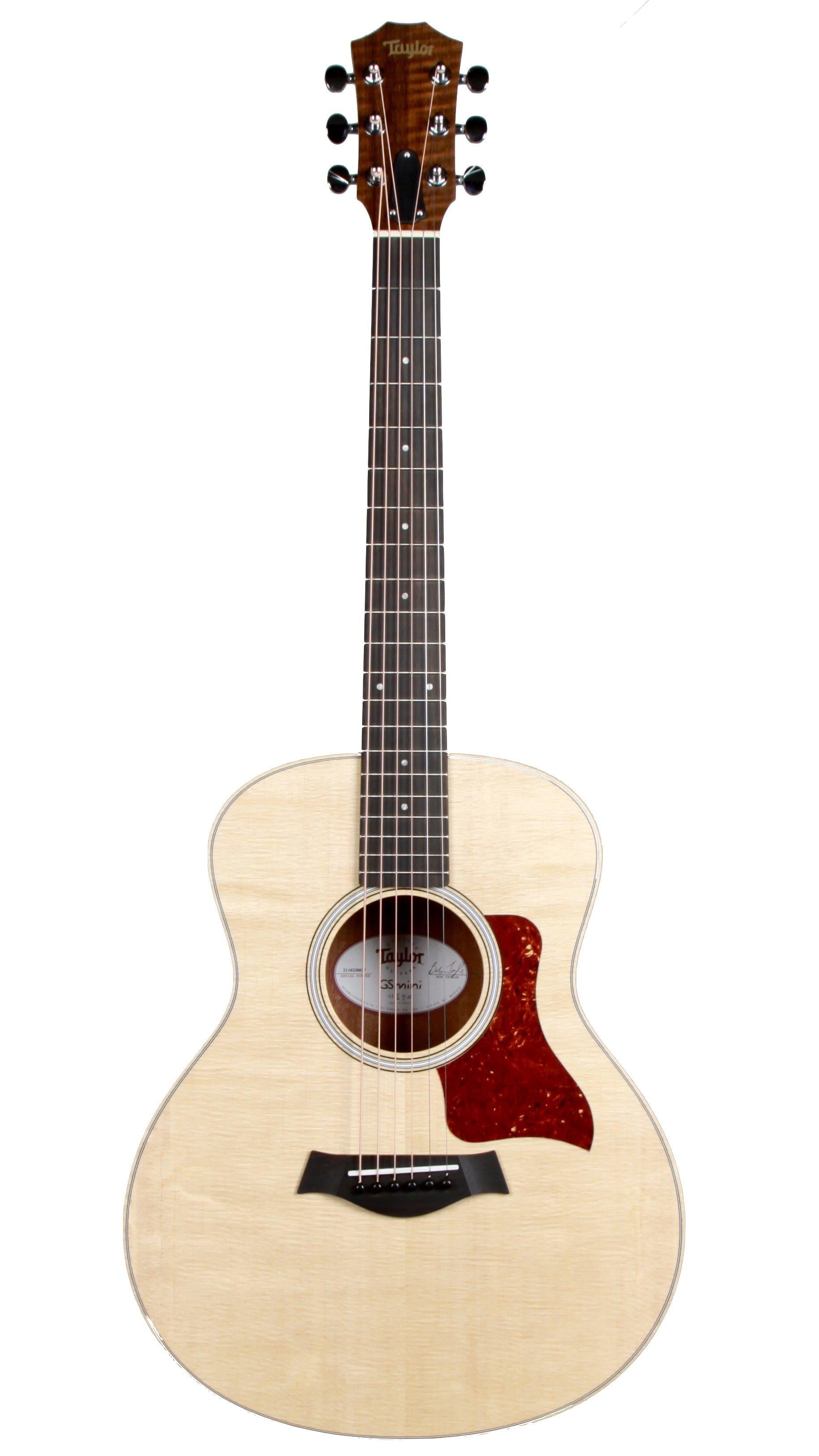 Taylor GS Mini - Taylor Guitars - Heartbreaker Guitars
