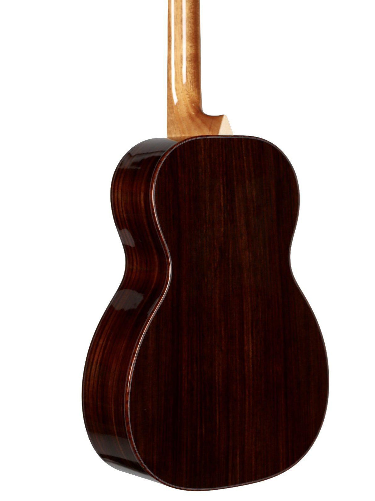 Larrivee T10  Moon Spruce and Indian Rosewood - Larrivee Guitars - Heartbreaker Guitars
