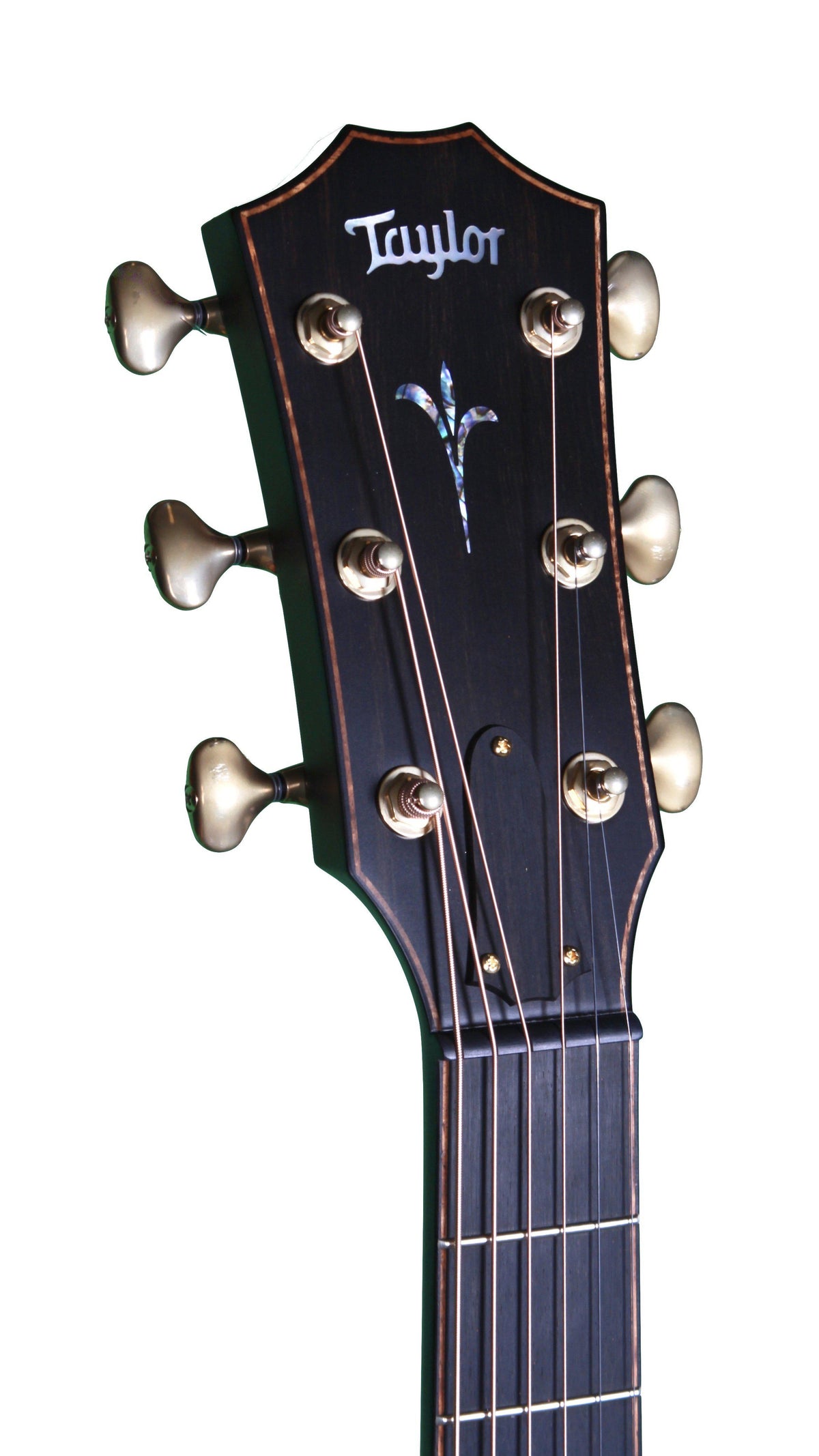 Taylor K14ce Builders Edition V-Class Bracing - Taylor Guitars - Heartbreaker Guitars